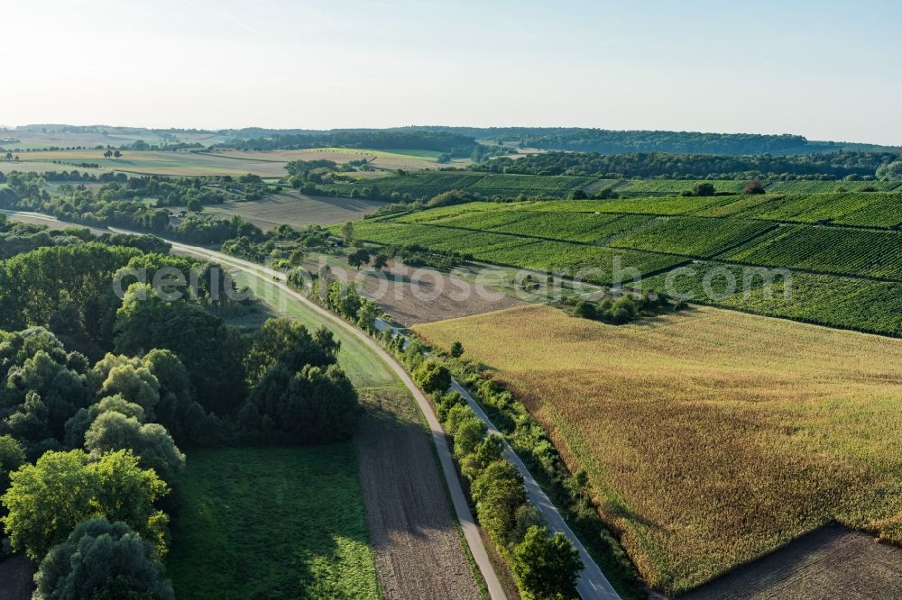 Sulzfeld from above - Row of trees on a country road on a field edge in Sulzfeld in the state Baden-Wuerttemberg