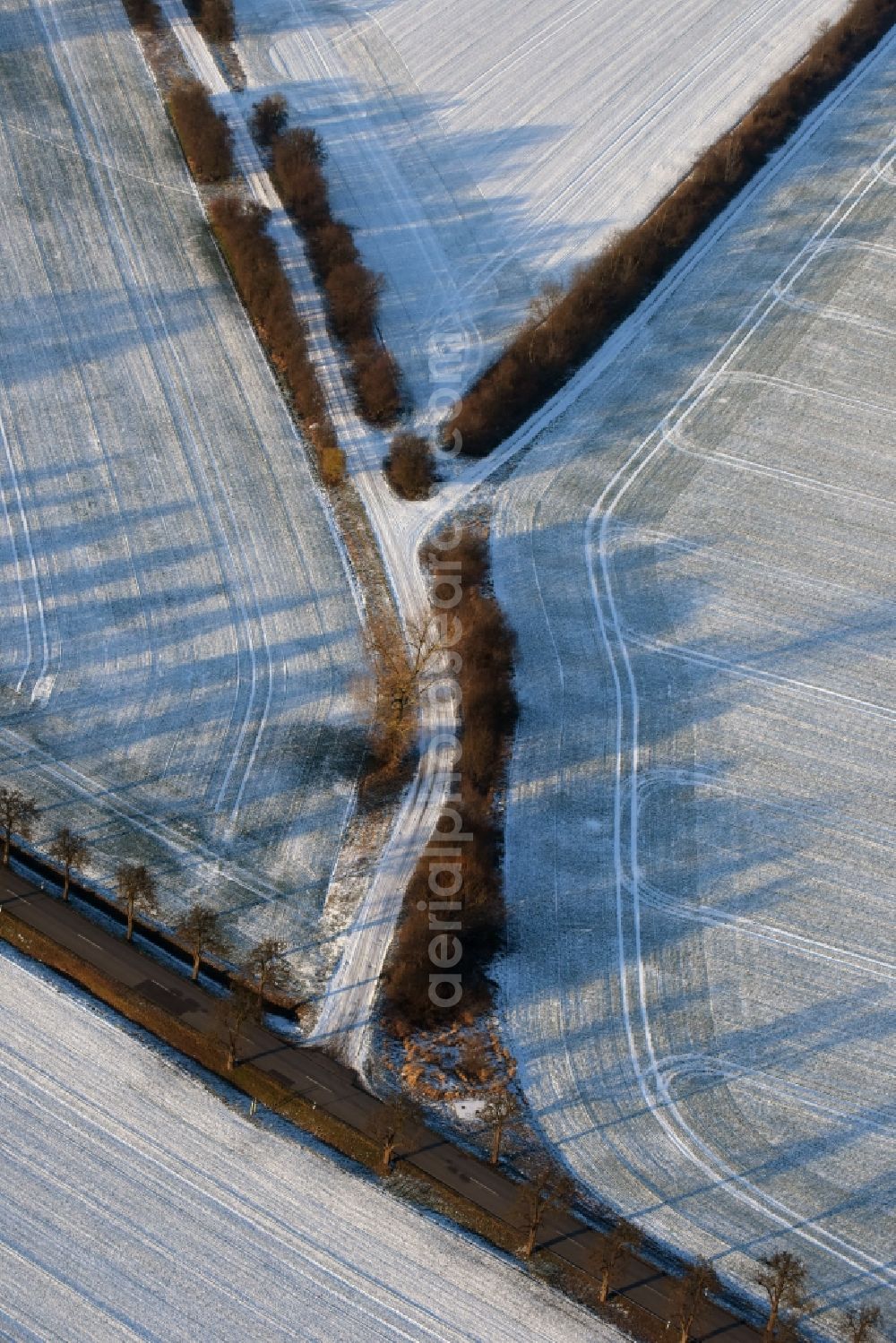 Ketzin from above - Wintry snowy row of trees on a country road on a field edge in Tremmen in the state Brandenburg