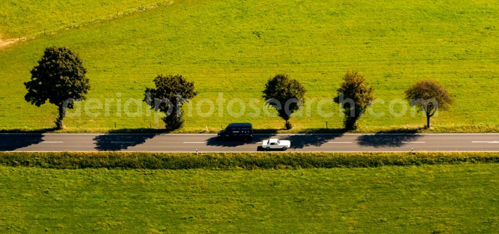 Westende from the bird's eye view: Row of trees on a country road on a field edge in Westende in the state North Rhine-Westphalia, Germany