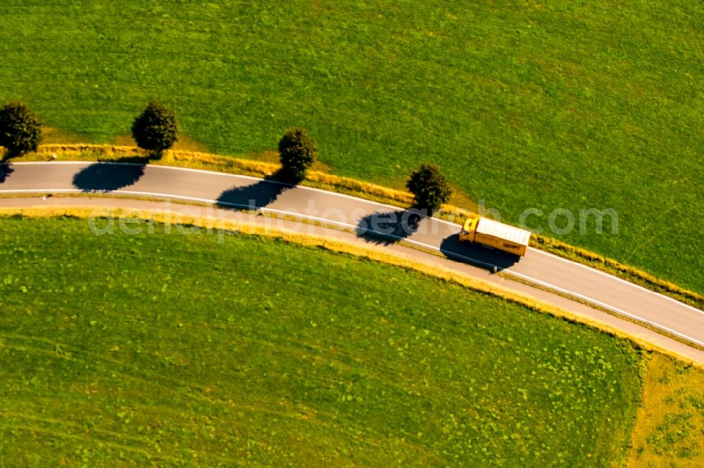 Aerial image Westende - Row of trees on a country road on a field edge in Westende in the state North Rhine-Westphalia, Germany