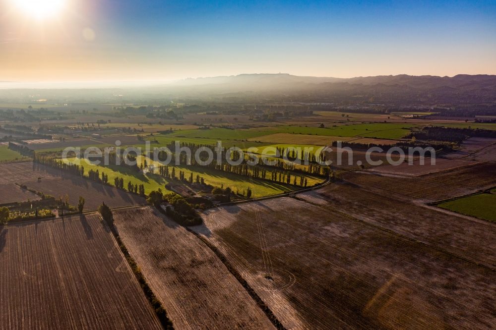 Aerial photograph Saint-Etienne-du-Gres - Row of trees to protect the fields from the mistral in Saint-Etienne-du-Gres in Provence-Alpes-Cote d'Azur, France