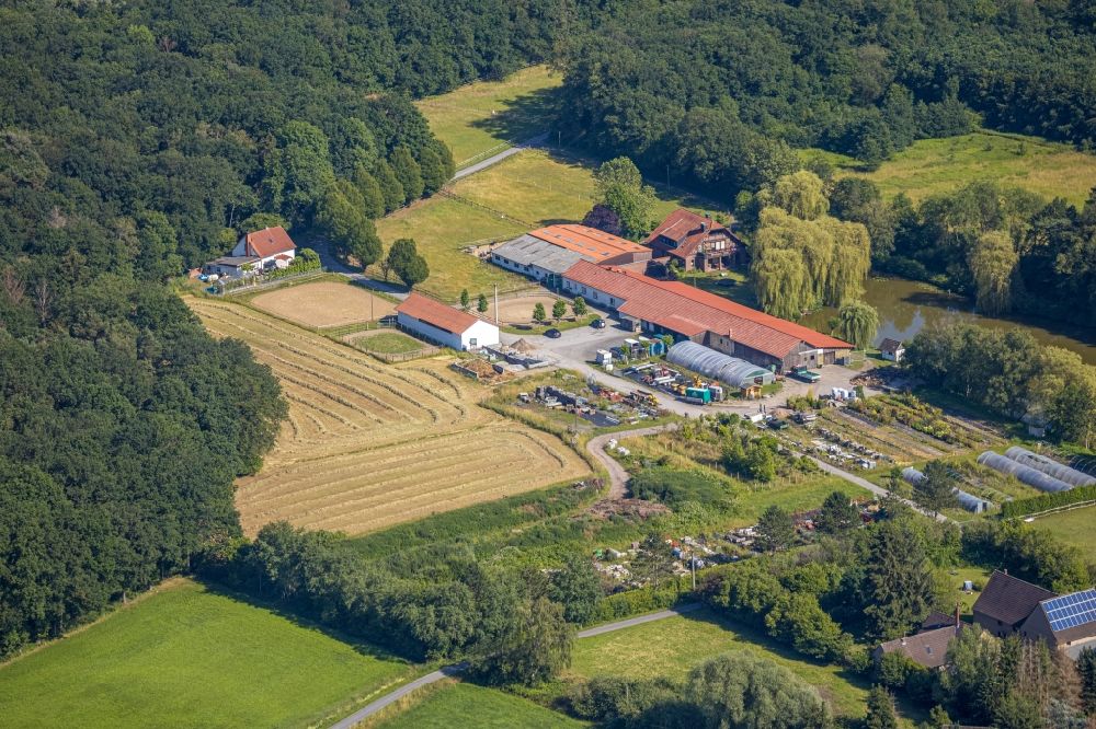 Aerial image Hamm - Row of trees on fields of the homestead of Baumschule Sennekamp on Baumstrasse in the district Norddinker in Hamm in the state North Rhine-Westphalia, Germany