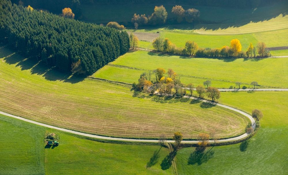 Aerial image Bad Berleburg - Row of trees on a country road on a field edge in the district Girkhausen in Bad Berleburg in the state North Rhine-Westphalia, Germany