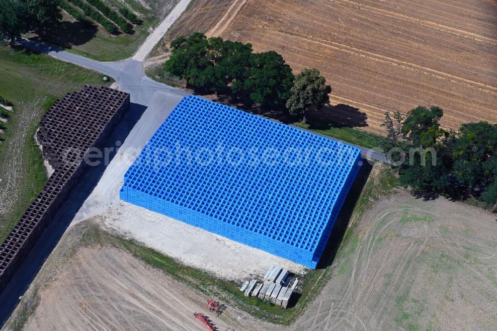 Aerial photograph Wesendahl - Rows of trees of fruit cultivation plantation in a field with blue fruit boxes in Wesendahl in the state Brandenburg, Germany