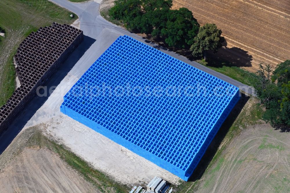 Wesendahl from above - Rows of trees of fruit cultivation plantation in a field with blue fruit boxes in Wesendahl in the state Brandenburg, Germany