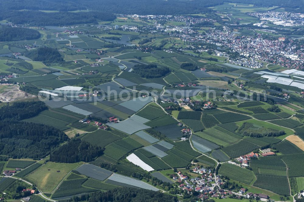 Aerial photograph Tettnang - Rows of trees of fruit cultivation plantation in a field in Tettnang in the state Baden-Wuerttemberg, Germany
