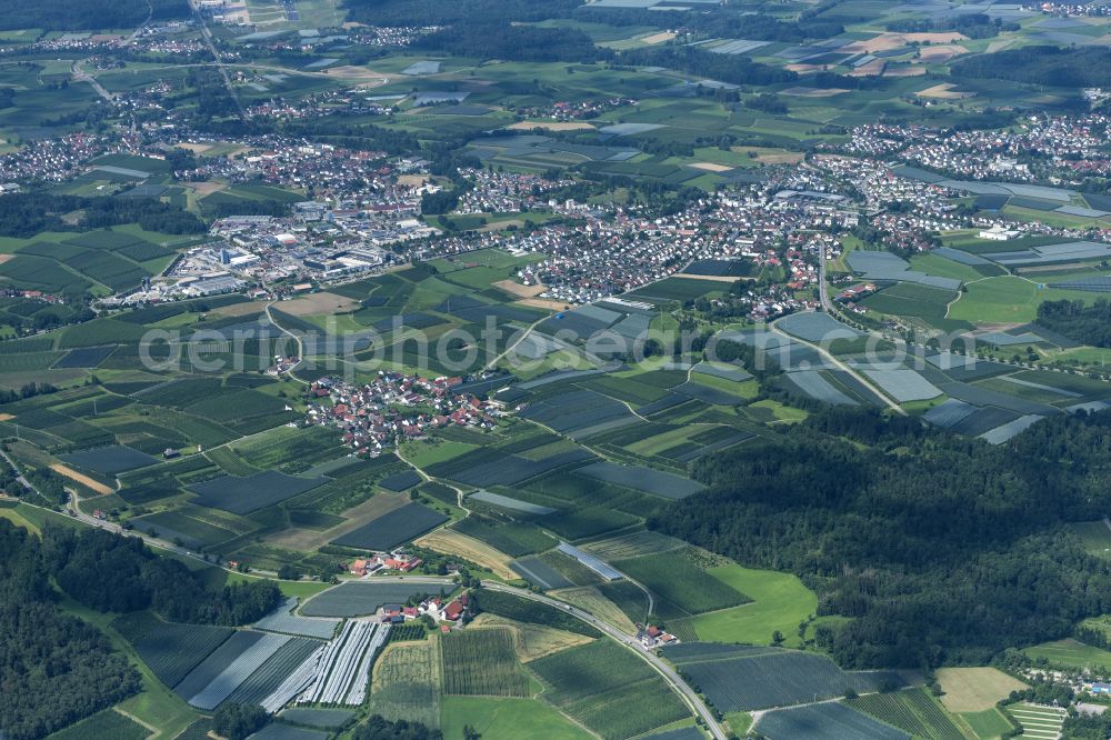 Tettnang from above - Rows of trees of fruit cultivation plantation in a field in Tettnang in the state Baden-Wuerttemberg, Germany