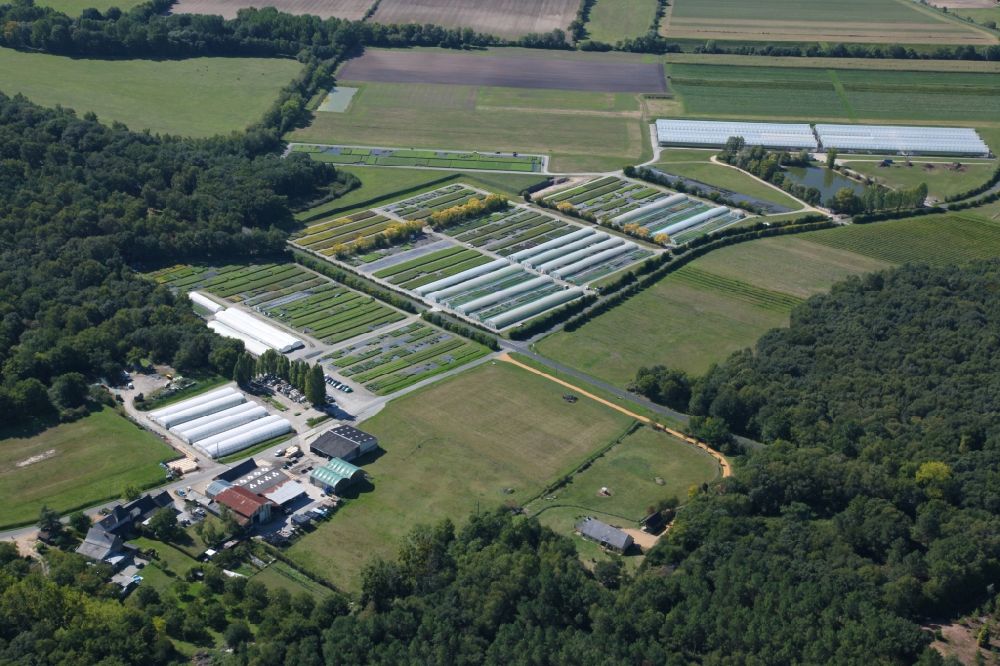 Aerial image Soucelles - Greenhouses of the tree nursery Scea de Nonnains in Soucelles in Pays de la Loire, France