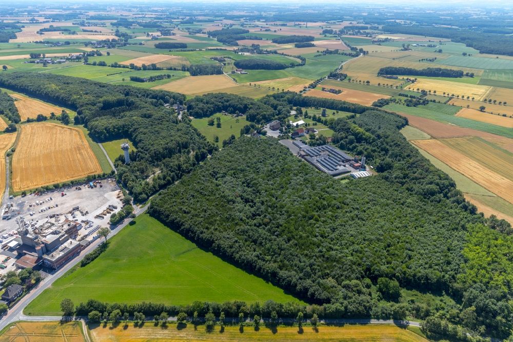 Aerial photograph Beckum - Treetops in a wooded area in Beckum in the state North Rhine-Westphalia, Germany