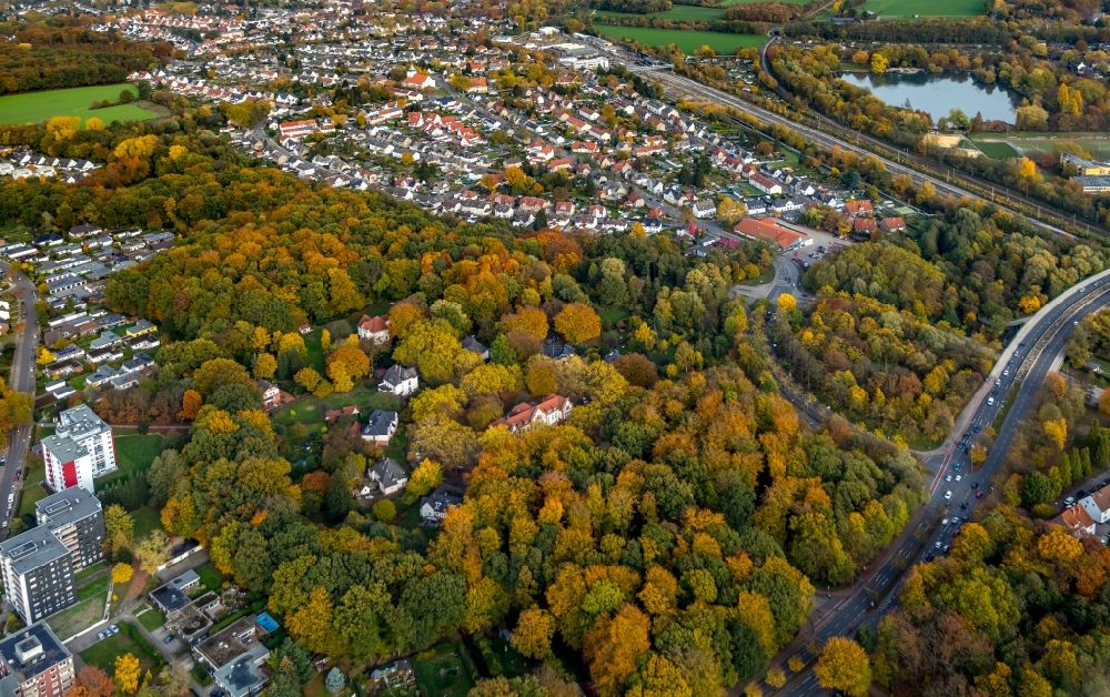 Aerial image Gladbeck - Tree tops in a deciduous forest - forest area in the urban area at Bernskamp in Gladbeck in the state North Rhine-Westphalia, Germany