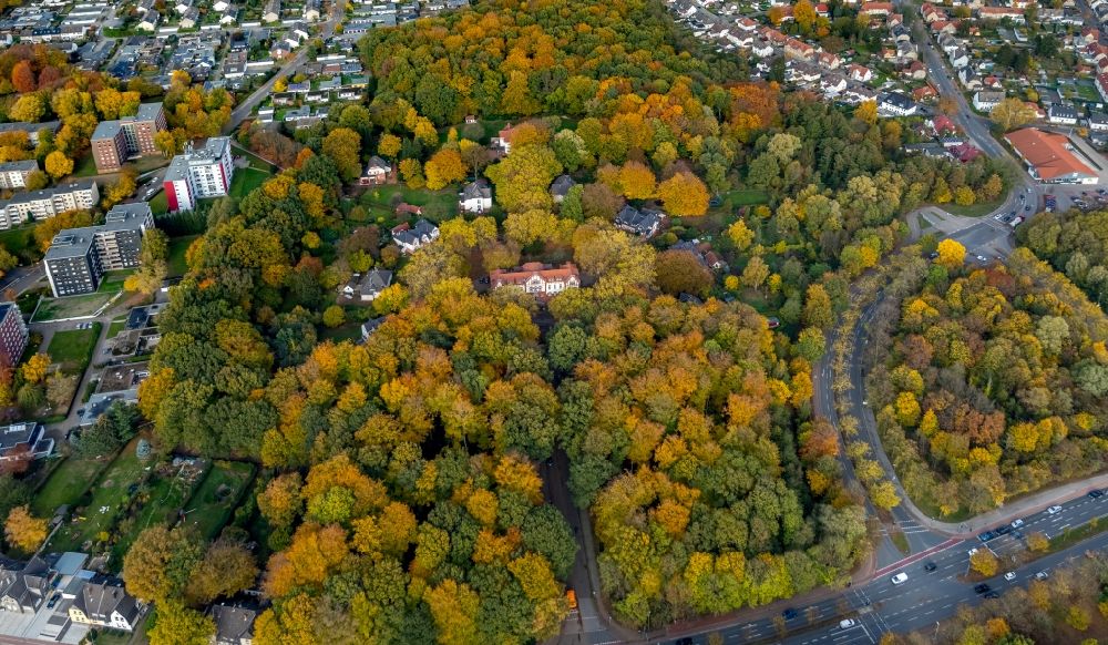 Aerial photograph Gladbeck - Tree tops in a deciduous forest - forest area in the urban area at Bernskamp in Gladbeck in the state North Rhine-Westphalia, Germany