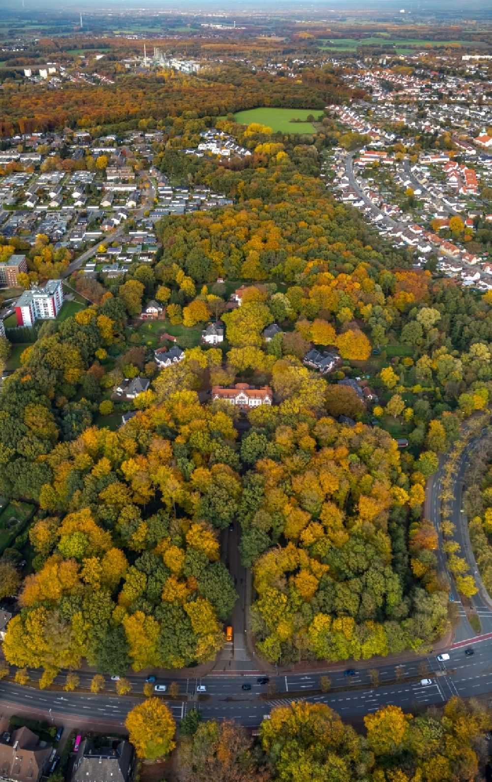 Gladbeck from above - Tree tops in a deciduous forest - forest area in the urban area at Bernskamp in Gladbeck in the state North Rhine-Westphalia, Germany