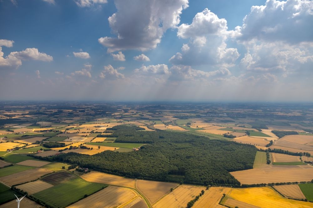 Aerial image Everswinkel - Treetops in a wooded area in Everswinkel in the state North Rhine-Westphalia, Germany