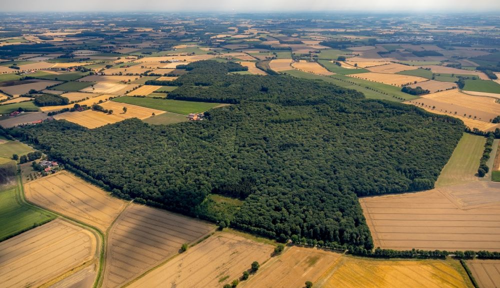 Aerial photograph Everswinkel - Treetops in a wooded area in Everswinkel in the state North Rhine-Westphalia, Germany