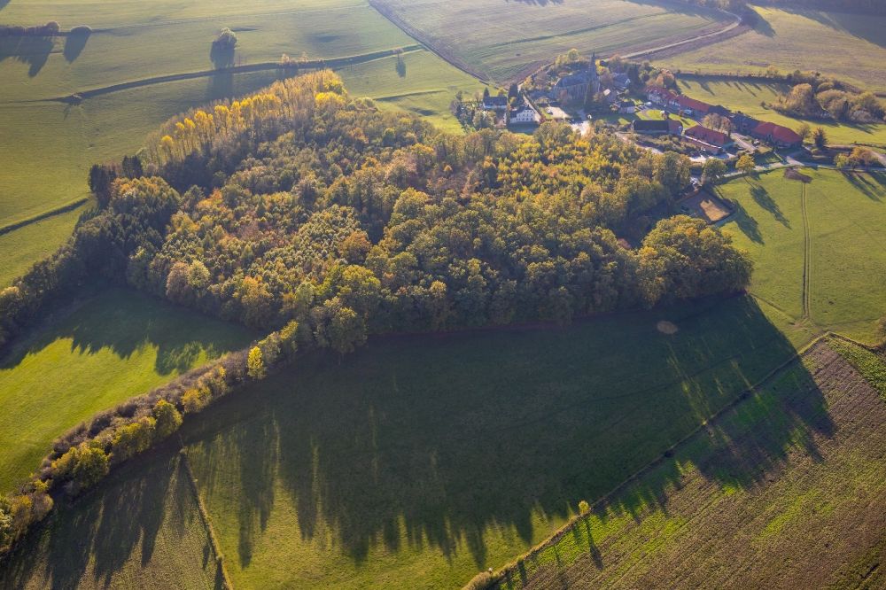 Herdringen from above - Treetops in a wooded area in Herdringen in the state North Rhine-Westphalia, Germany