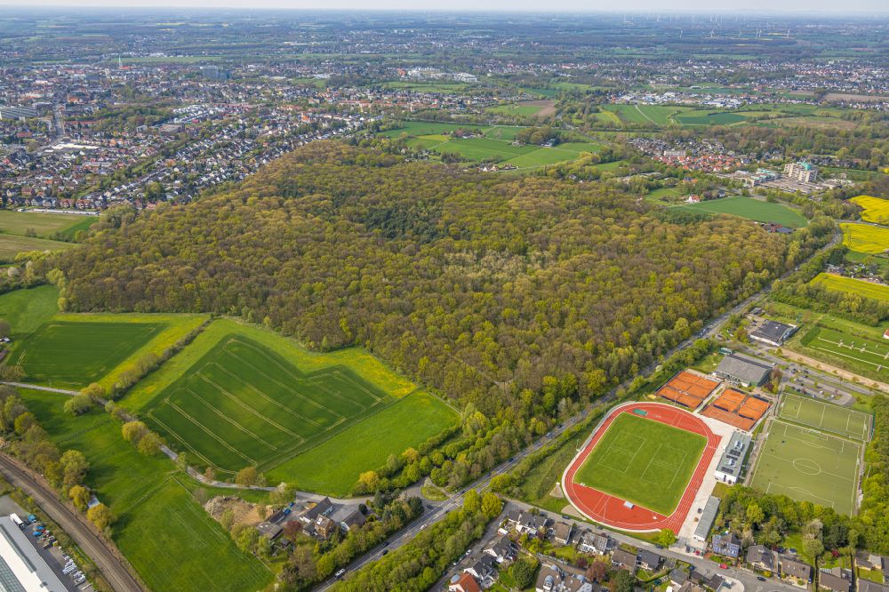 Aerial photograph Hamm - treetops in a wooded area in the district Caldenhof in Hamm in the state North Rhine-Westphalia, Germany