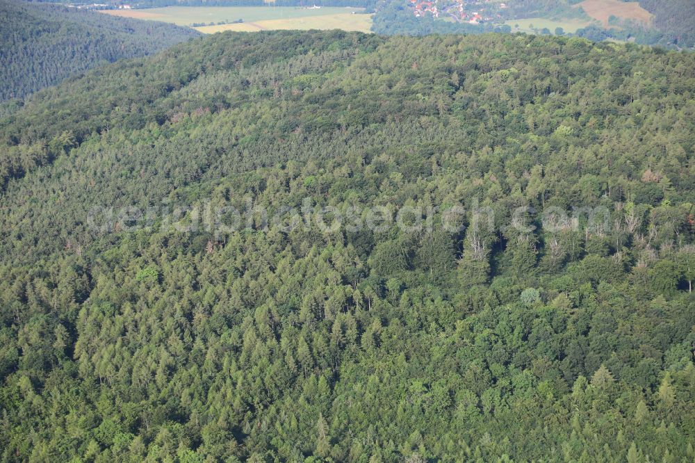 Aerial photograph Plaue - Treetops in a wooded area in Plaue in the state Thuringia, Germany