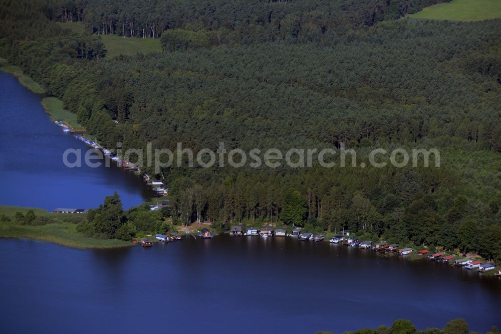 Wesenberg from above - Treetops in a wooded area at the shore of the Drewensee in Wesenberg in the state Mecklenburg - Western Pomerania