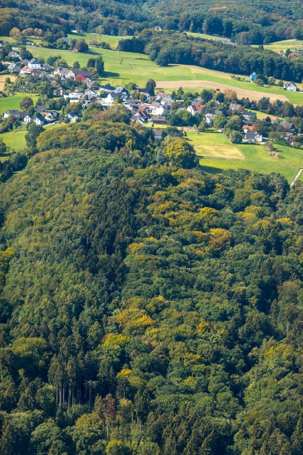 Aerial image Witten - Treetops in a wooded area in Witten in the state North Rhine-Westphalia, Germany