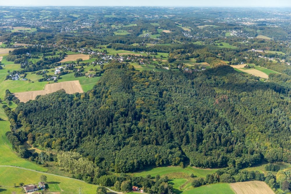 Witten from above - Treetops in a wooded area in Witten in the state North Rhine-Westphalia, Germany