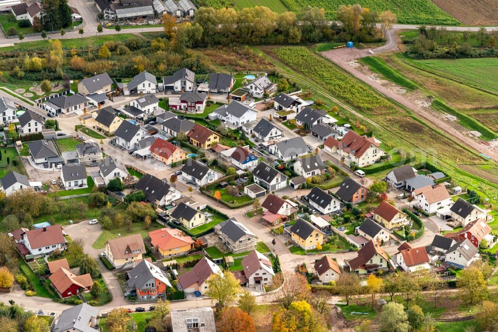 Aerial photograph Schwanau - Residential area construction site of a mixed development with multi-family houses and single-family houses- New building at the in Schwanau in the state Baden-Wurttemberg, Germany
