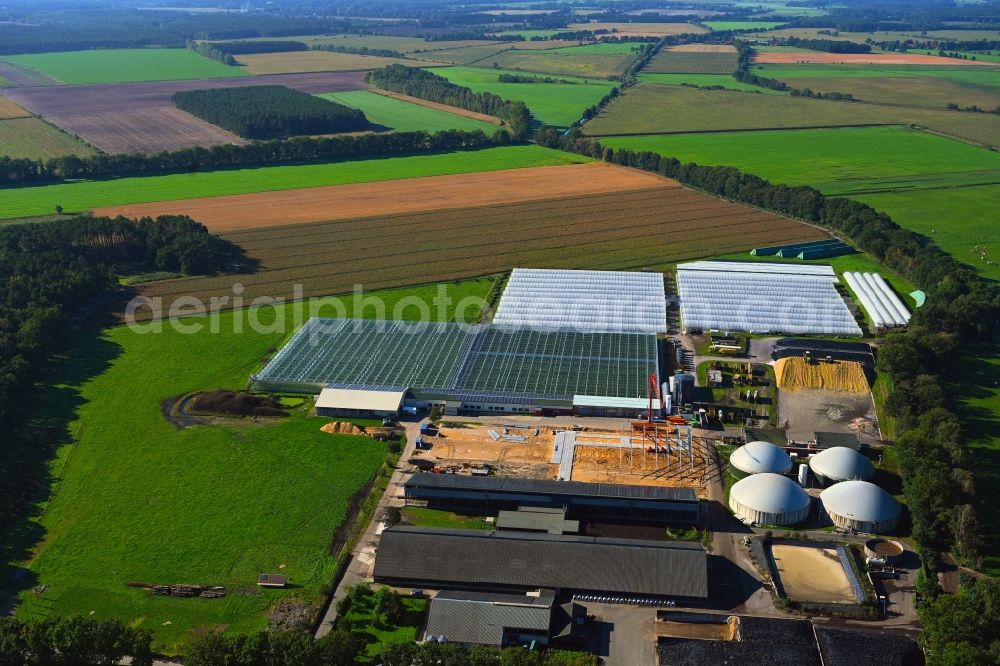 Wöbbelin from the bird's eye view: Construction site and assembly for new greenhouses series of Hof Denissen along the Ludwigsluster Strasse in Woebbelin in the state Mecklenburg - Western Pomerania, Germany