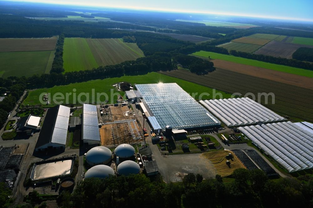 Aerial image Wöbbelin - Construction site and assembly for new greenhouses series of Hof Denissen along the Ludwigsluster Strasse in Woebbelin in the state Mecklenburg - Western Pomerania, Germany