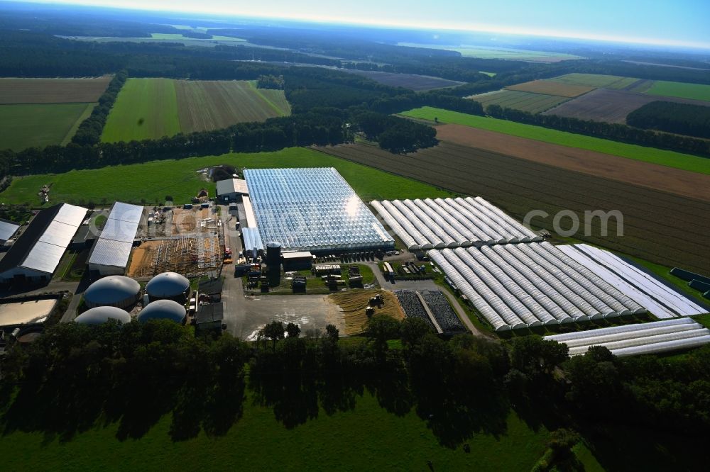 Aerial photograph Wöbbelin - Construction site and assembly for new greenhouses series of Hof Denissen along the Ludwigsluster Strasse in Woebbelin in the state Mecklenburg - Western Pomerania, Germany