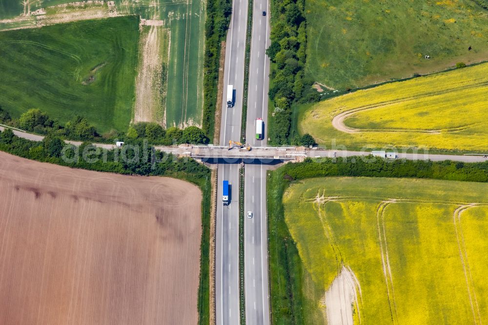 Aerial image Damlos - Construction to renovation work on the road bridge structure Hohelieth - Sebent about the Autobahn A1 in Damlos in the state Schleswig-Holstein, Germany