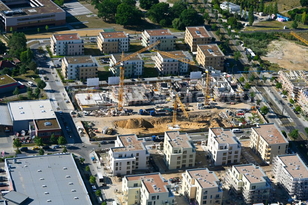 Potsdam from the bird's eye view: Residential construction site with multi-family housing development- Neue Liebe between Erich-Arendt-Strasse and Hans-Paasche-Strasse in the district Bornstedt in Potsdam in the state Brandenburg, Germany
