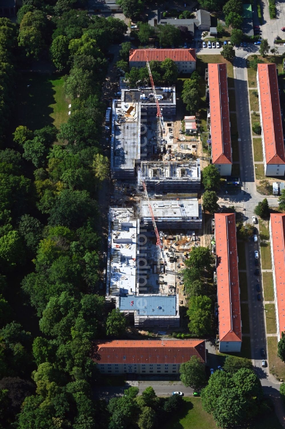 Aerial image Berlin - Residential construction site with multi-family housing development- at Wildrosenweg in the district Biesdorf in Berlin, Germany