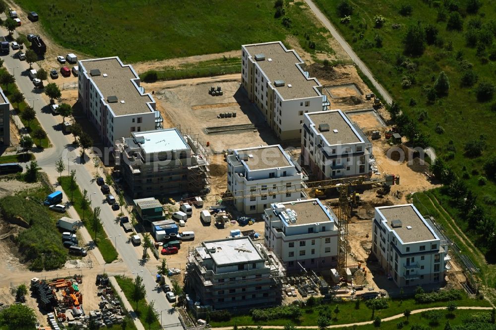 Schönefeld from the bird's eye view: Residential construction site with multi-family housing development- on the Stadthaeuser on Park on Alfred-Doeblin-Allee in Schoenefeld in the state Brandenburg, Germany
