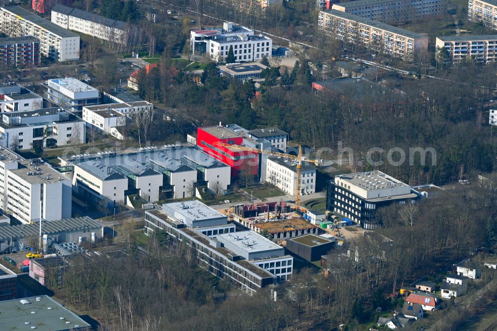 Berlin from above - Construction site for the new building of a research building and office complex Imaging Innovation Center of Max Delbrueck Centers on street Robert-Roessle-Strasse in the district Buch in Berlin, Germany