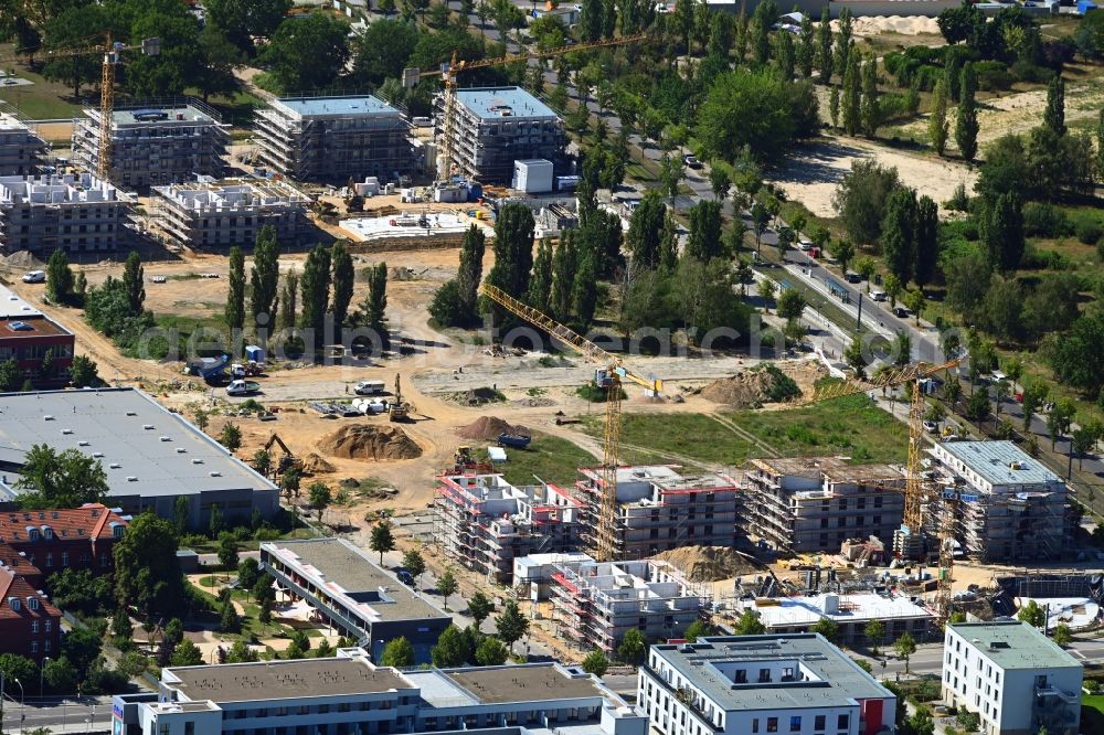 Potsdam from above - Construction site to build a new multi-family residential complex on Georg-Hermann-Allee in the district Bornstedt in Potsdam in the state Brandenburg, Germany