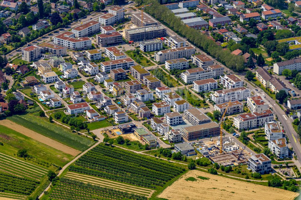 Aerial photograph Offenburg - Construction site to build a new multi-family residential complex Im Seidenfaden in Offenburg in the state Baden-Wuerttemberg, Germany