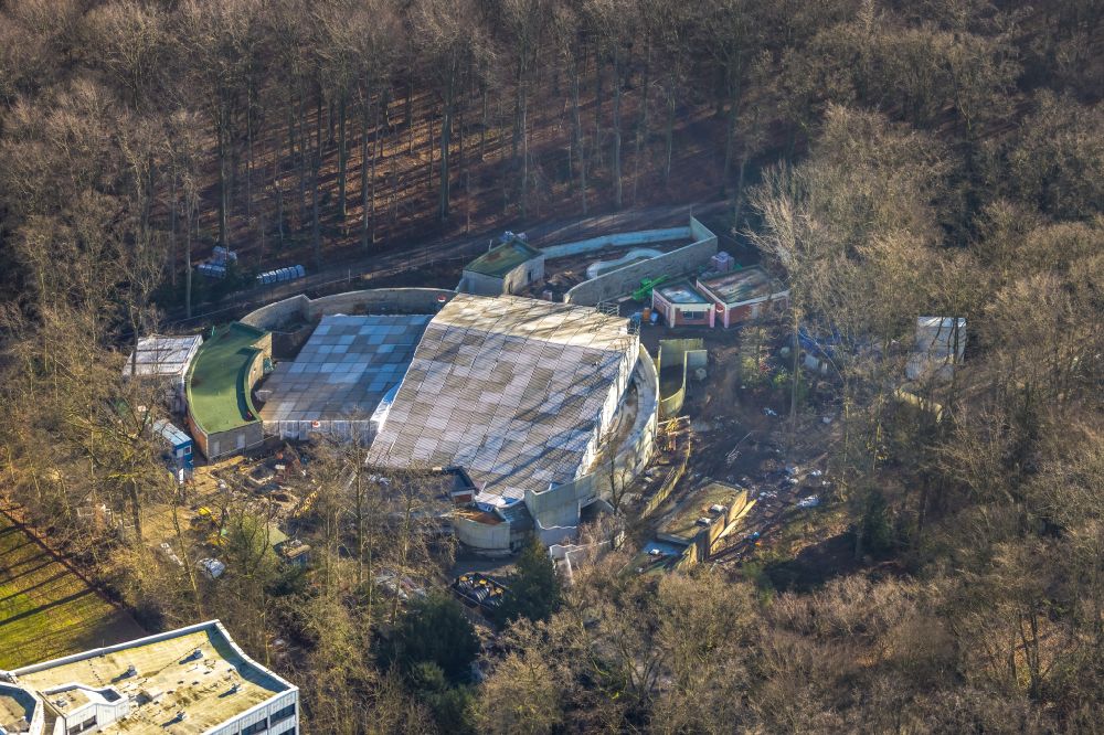 Aerial photograph Dortmund - Construction site for the new construction of a seal facility in the Zoo Dortmund in the district Schulzentrum Hacheney in Dortmund in the Ruhr area in the state North Rhine-Westphalia, Germany