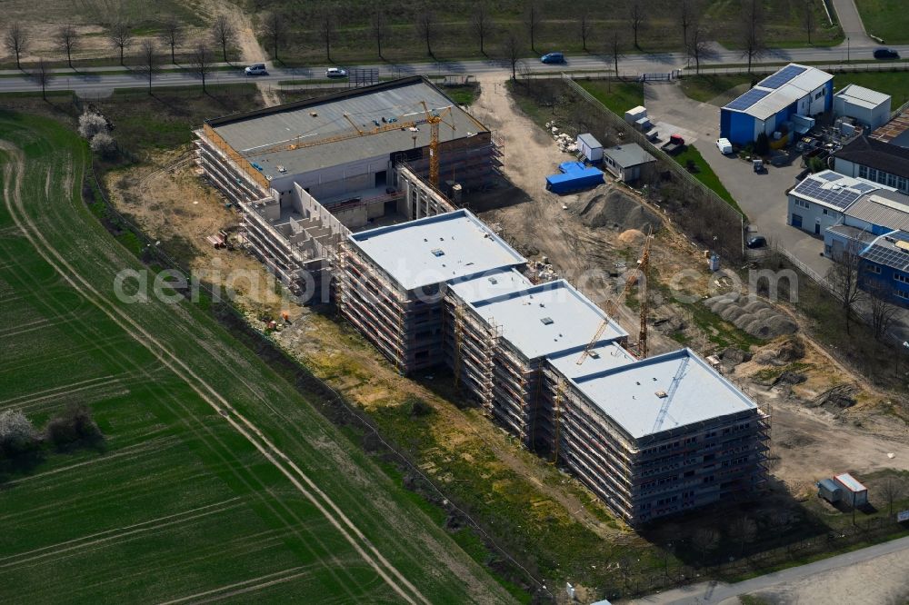 Ahrensfelde from above - New construction site of the school building between Ahrensfelof Chaussee in the district Lindenberg in Ahrensfelde in the state Brandenburg, Germany
