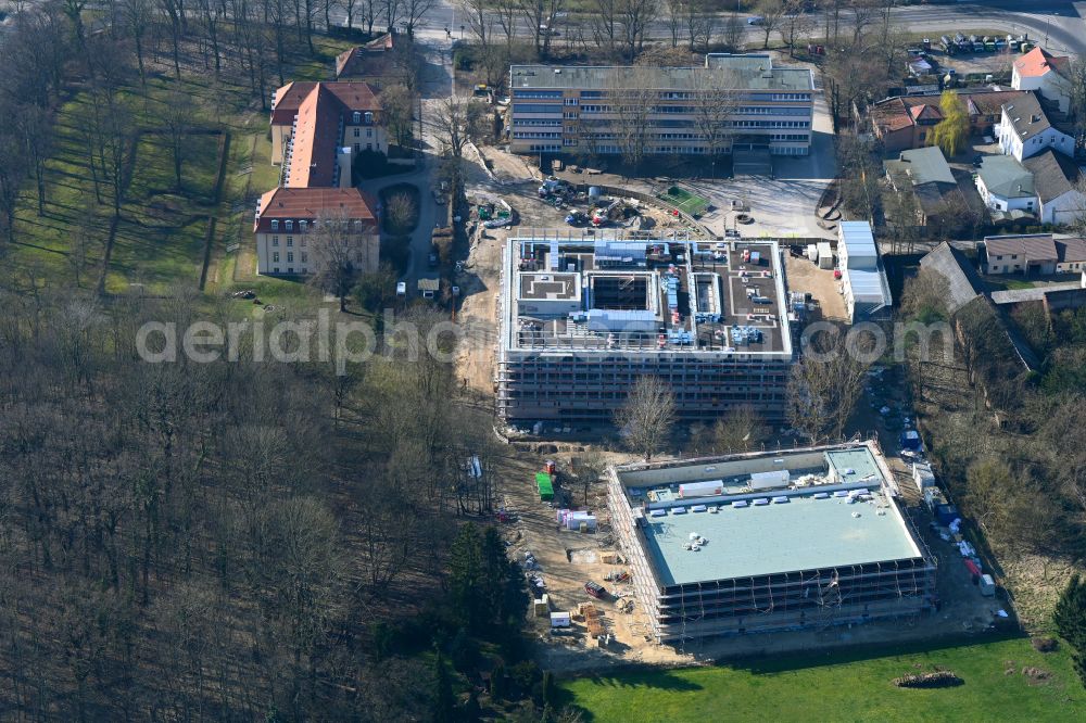 Aerial photograph Berlin - New construction site of the school building Grundschule unter den Baeumen on street Alt-Blankenburg in the district Blankenburg in Berlin, Germany