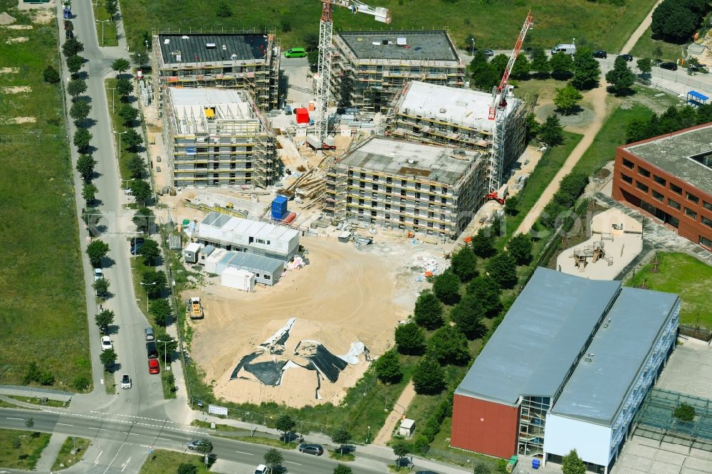Schönefeld from the bird's eye view: Construction site for the multi-family residential building Theodor-Fontane-Hoefe on Theodor-Fontane-Allee - Bayangolpark in Schoenefeld in the state Brandenburg, Germany