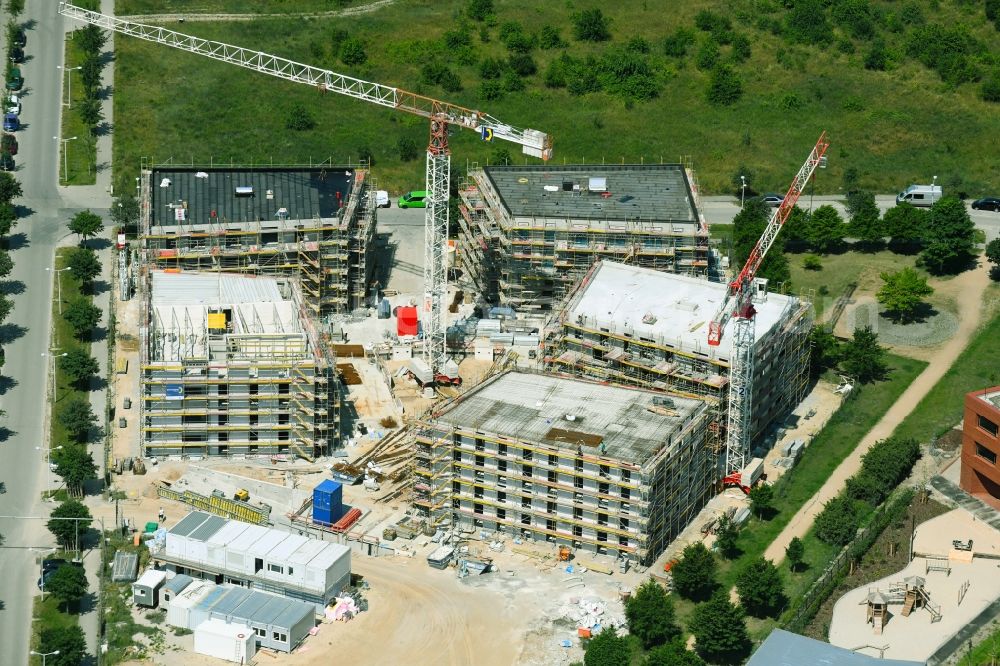 Aerial image Schönefeld - Construction site for the multi-family residential building Theodor-Fontane-Hoefe on Theodor-Fontane-Allee - Bayangolpark in Schoenefeld in the state Brandenburg, Germany