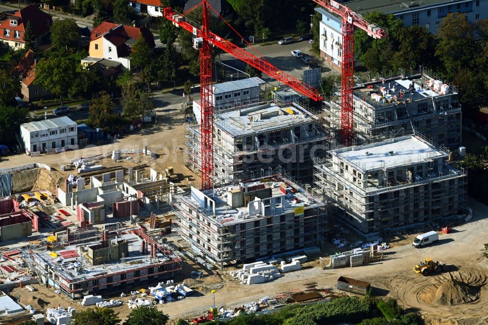 Berlin from the bird's eye view: Construction sites for new construction residential area of detached housing estate in the district Altglienicke in Berlin, Germany
