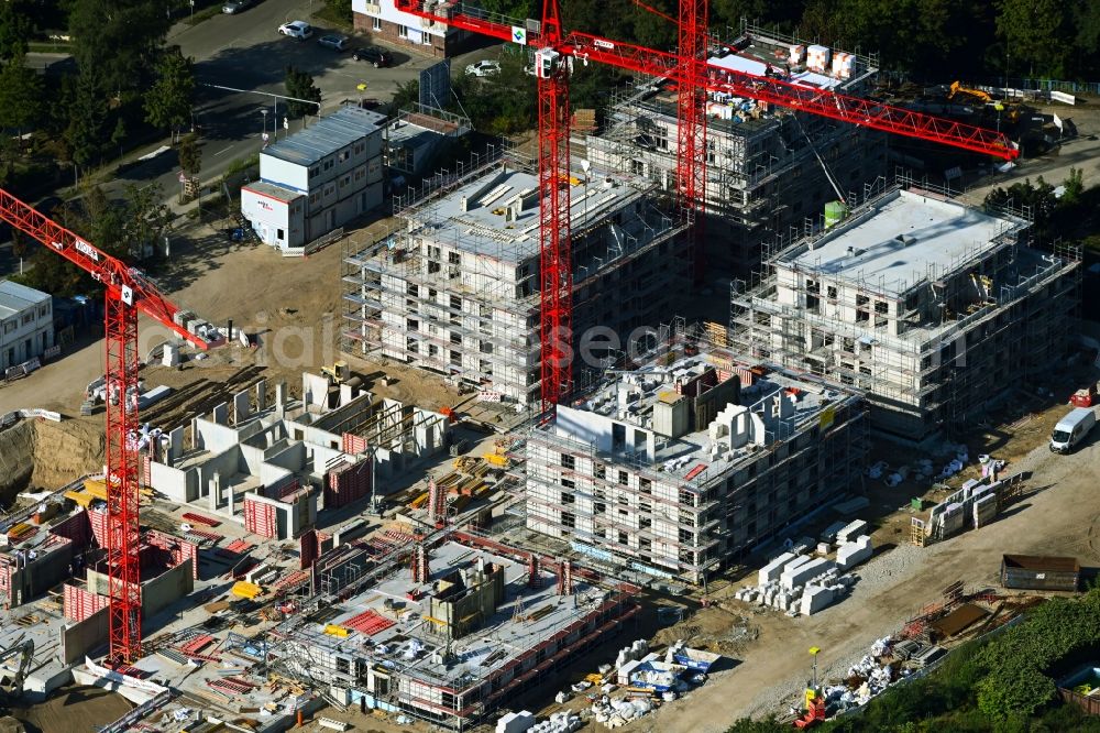 Aerial photograph Berlin - Construction sites for new construction residential area of detached housing estate in the district Altglienicke in Berlin, Germany