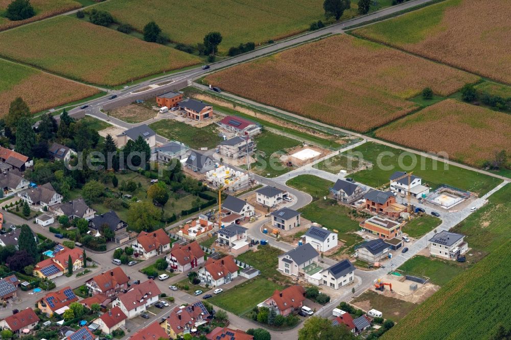 Orschweier from above - Construction sites for new construction residential area of detached housing estate in Orschweier in the state Baden-Wuerttemberg, Germany