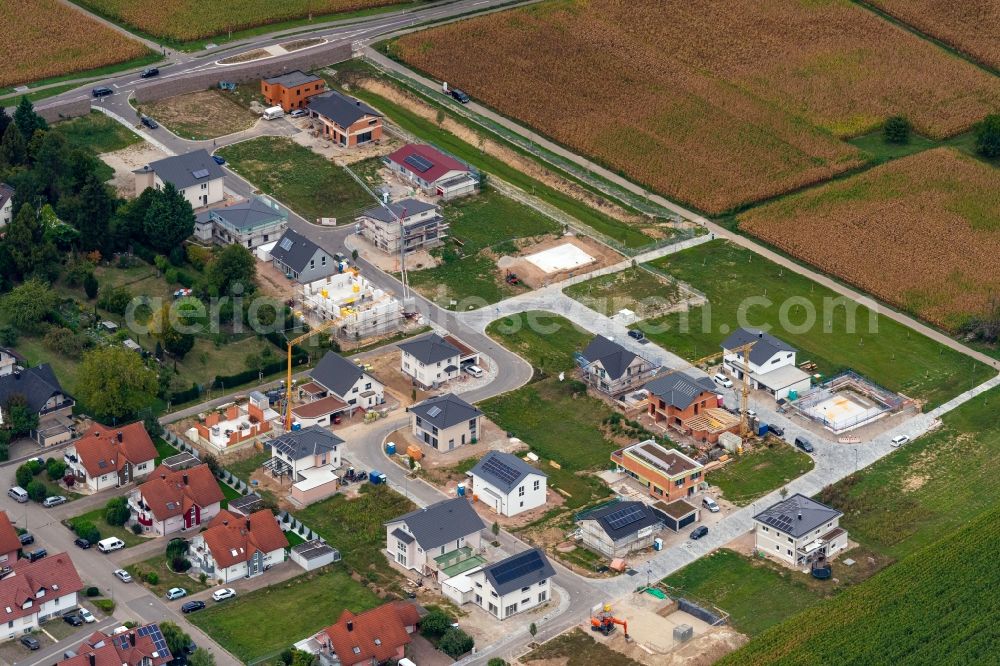 Orschweier from the bird's eye view: Construction sites for new construction residential area of detached housing estate in Orschweier in the state Baden-Wuerttemberg, Germany