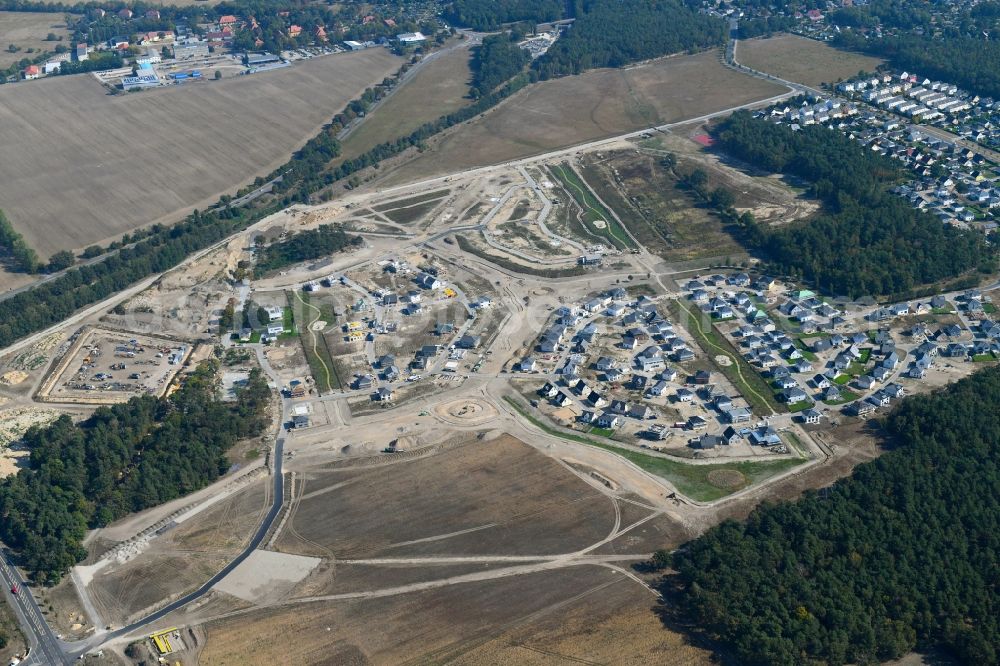 Ludwigsfelde from the bird's eye view: Construction sites for new construction residential area of detached housing estate on Sartrering in Ludwigsfelde in the state Brandenburg, Germany