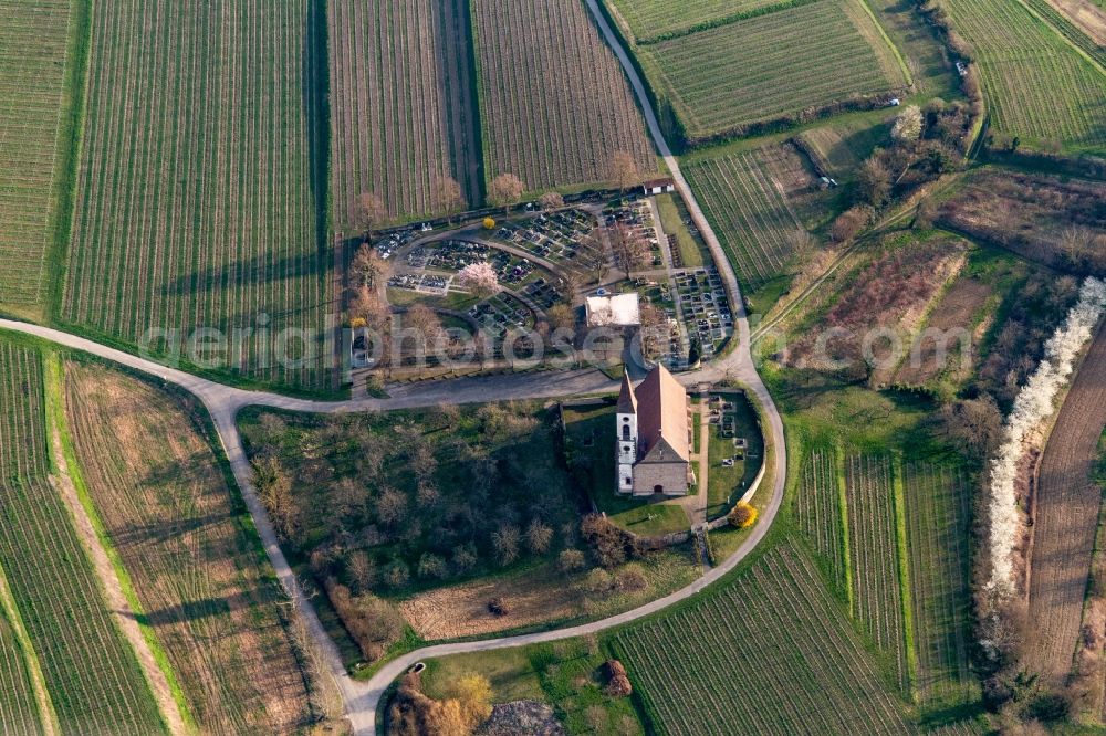 Aerial image Teningen - Grave rows on the grounds of the cemetery Bergfriedhof Nimburg bei Teningen in Teningen in the state Baden-Wurttemberg, Germany