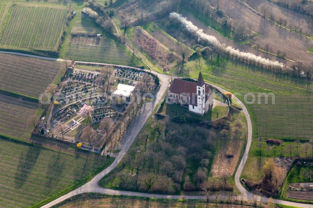 Aerial photograph Teningen - Grave rows on the grounds of the cemetery Bergfriedhof Nimburg bei Teningen in Teningen in the state Baden-Wurttemberg, Germany