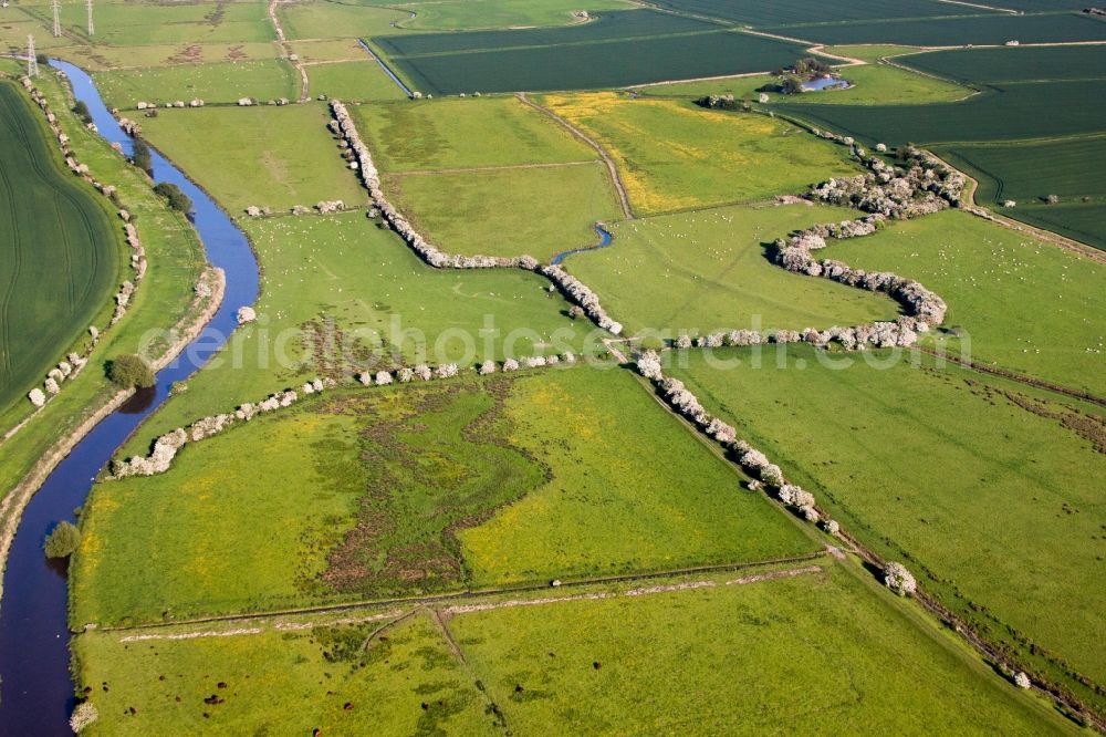 Aerial photograph Ash - Blooming trees and River Stour around Structures of a marsh landscape in Ash in England, United Kingdom