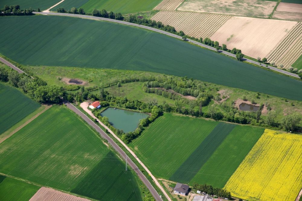 Aerial image Wallertheim - Flowering landscape with trout pond along the railway. The areas are located on the outskirts of Wallertheim in the state of Rhineland-Palatinate