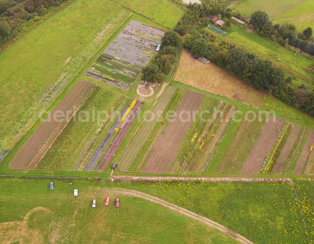 Aerial image Pirna (Sachsen) - Blick auf den Gartenbaubetrieb am Flugplatz Pirna